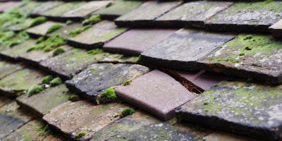 Easton In Gordano roof repair costs